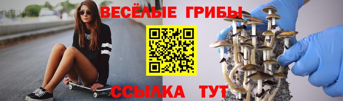 Псилоцибиновые грибы мухоморы Сухой Лог