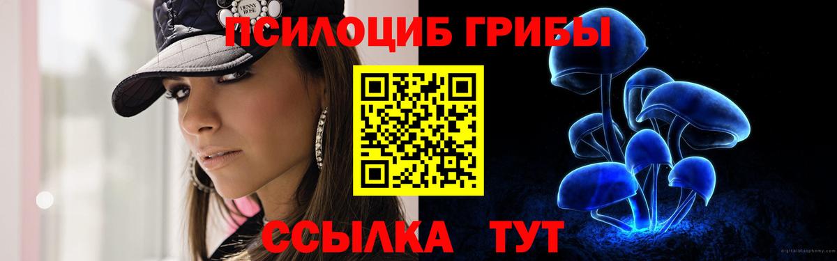 Галлюциногенные грибы мухоморы  Вход с VPN  где найти наркотики  Сухой Лог 